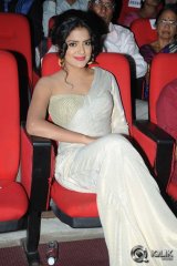 Rowdy Fellow Movie Audio Launch